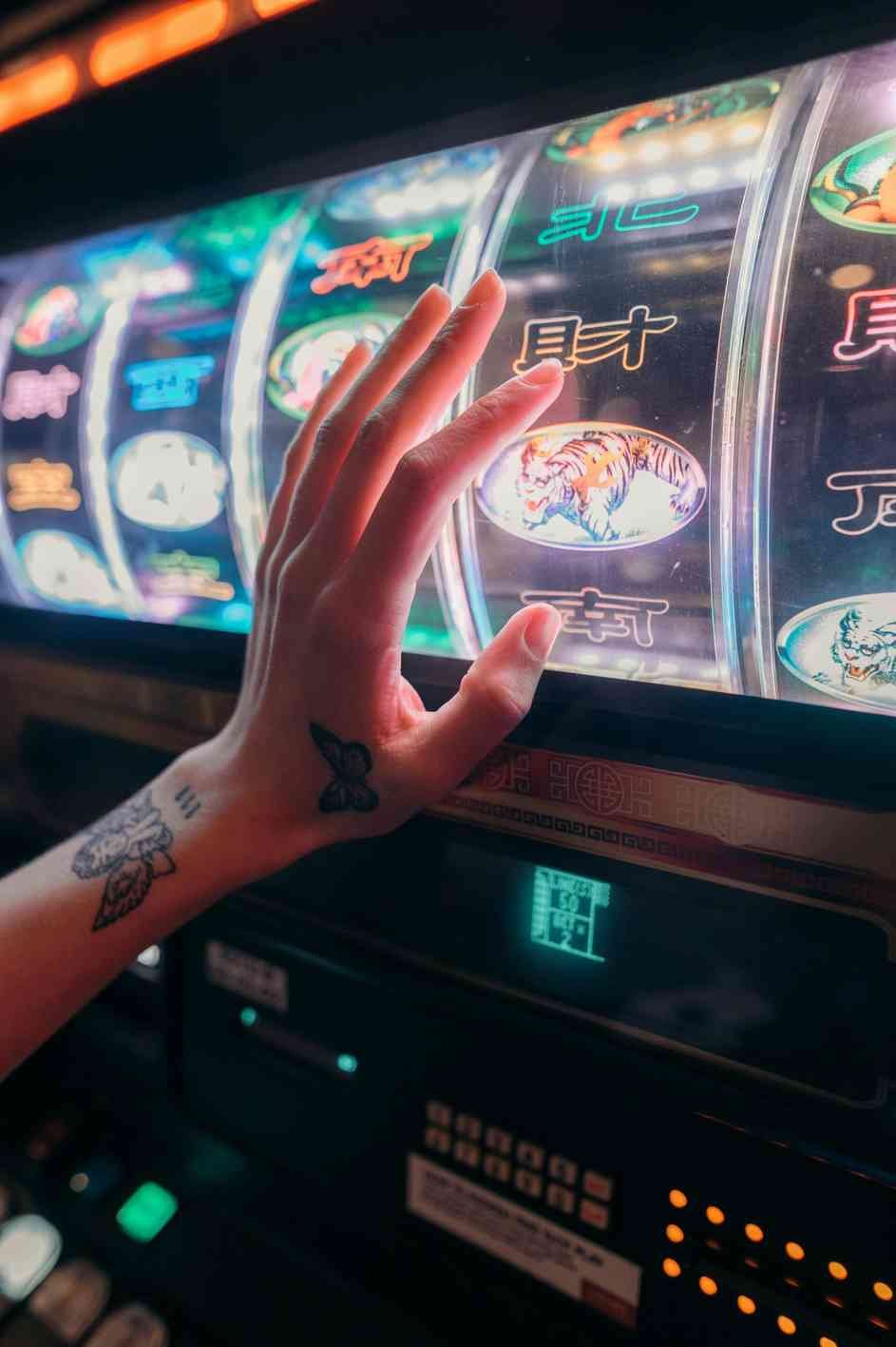 wild tokyo casino 2026 wild tokyo casino 2026
